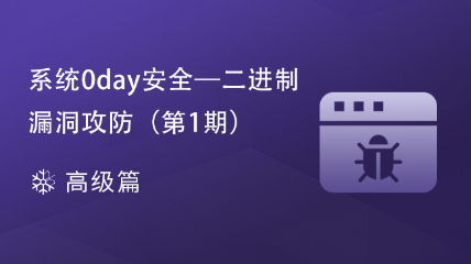 [結(jié)束]系統(tǒng)0day安全 - 二進(jìn)制漏洞攻防（第1期）