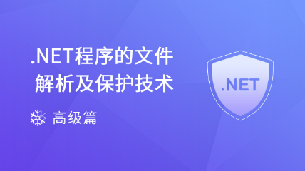 .NET程序的文件解析及保護(hù)技術(shù)